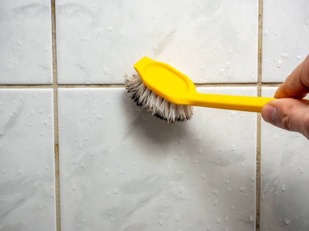 Best DIY Mold Remediation Support Services in Brooklyn Park, MN