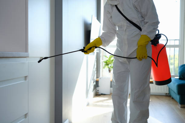 Brooklyn Park, MN Mold Remediation Company