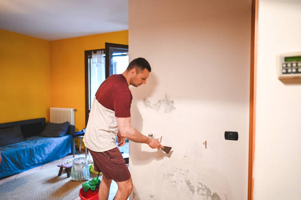 Best Emergency Mold Remediation in Brooklyn Park, MN